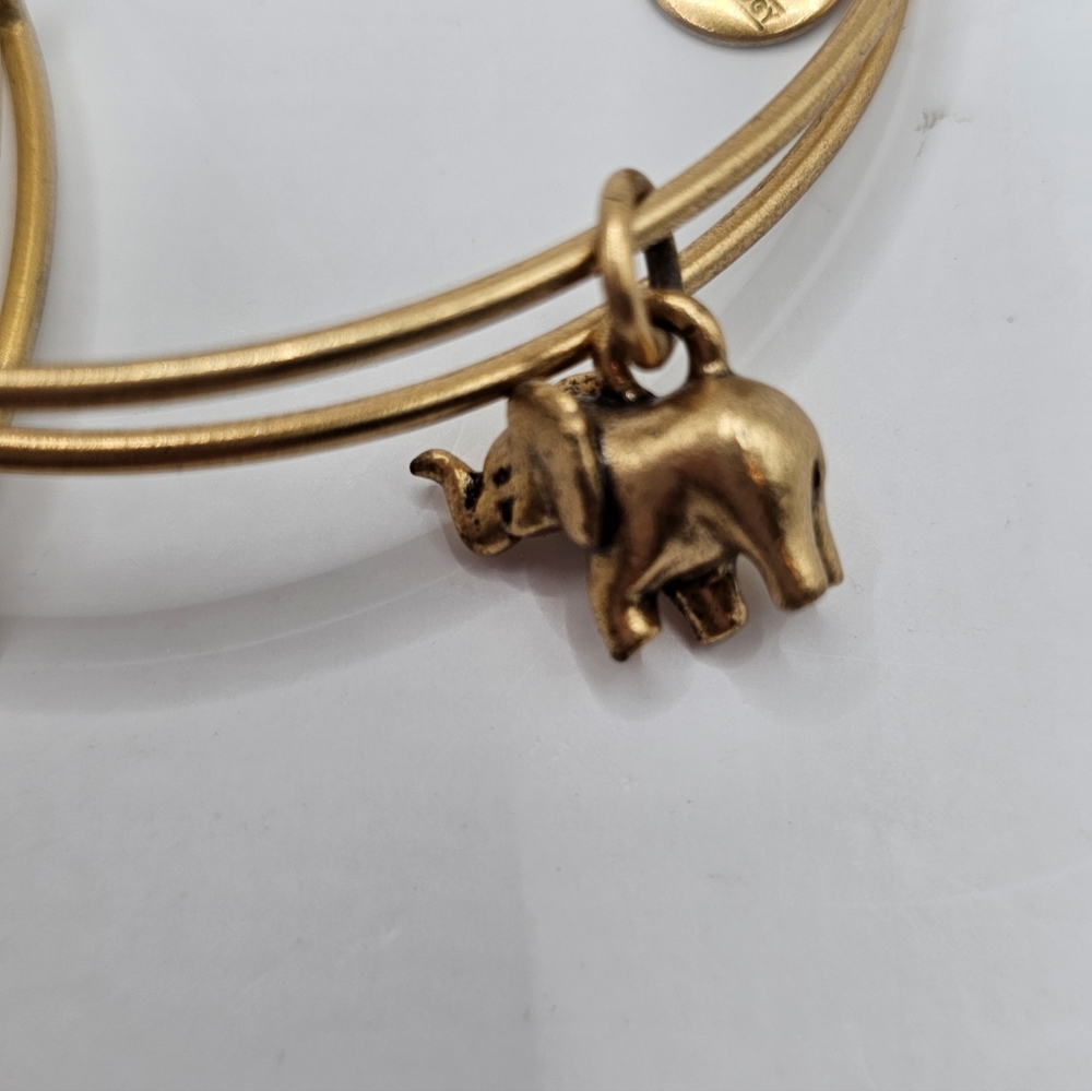 Alex And Ani Charm Bangle Bracelet, Set Of 3 - Picture 4 of 8
